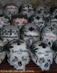Skulls in the Bone House