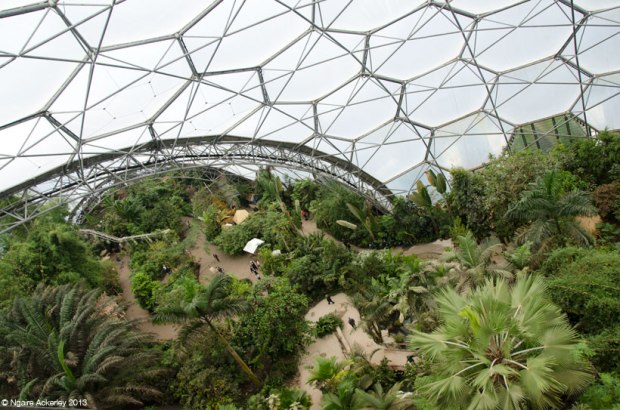The Eden Project