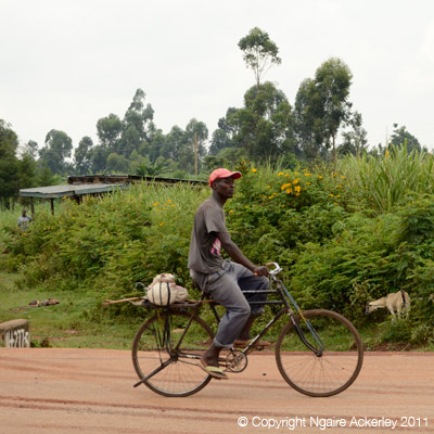 Local cyclists