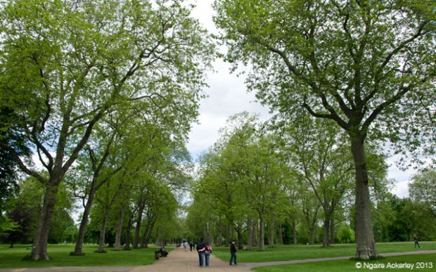 Kensington Gardens, London. Copyright Ngaire Ackerley, 2013.