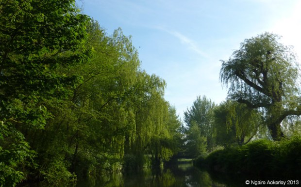 Canal in Canterbury