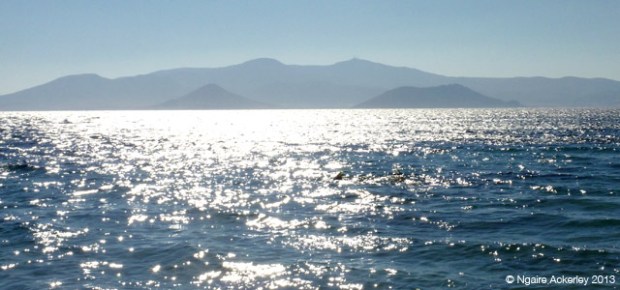 Agia Anna Beach, Naxos