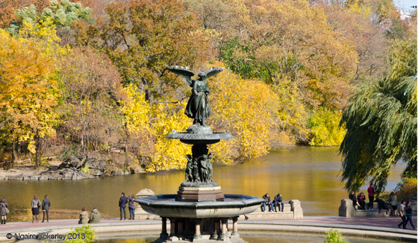 Lake in Central Park