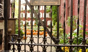 Courtyard of Halloween pumpkins
