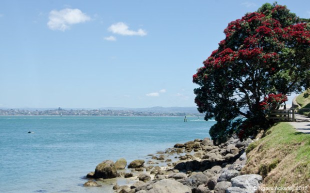Mt. Maunganui, New Zealand - one of my favourite spots