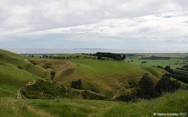 Papamoa Hills
