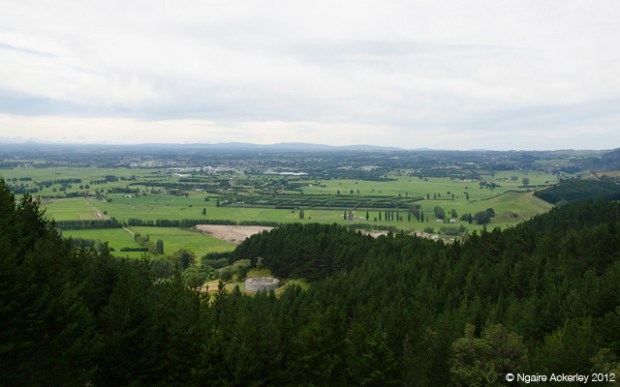 Farmland view from Papamoa Hills
