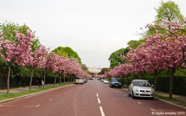 Road near Regents Park in London