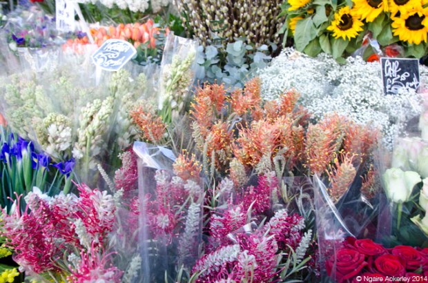 Colombia Road Flower Markets, London