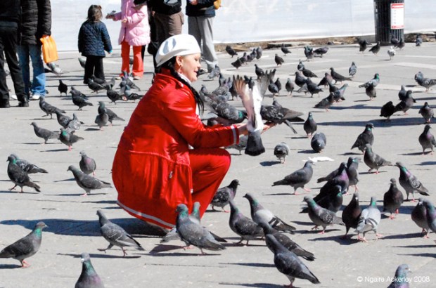 Taking time to feed the birds