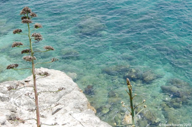 Ocean water - crystal clear in Dubrovnik, Croatia