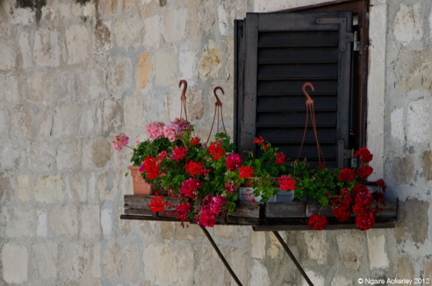 Flowers on a window ledge, Dubrovnik, Croatia