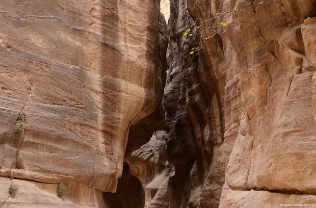 Canyon, Petra. Jordan