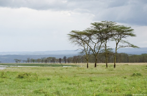Lake Nakuru National Park, Kenya