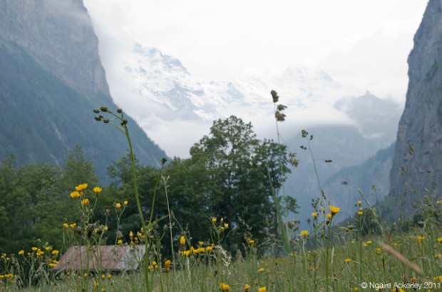 Valley from the ground, Lauterbrunnen, Switzerland