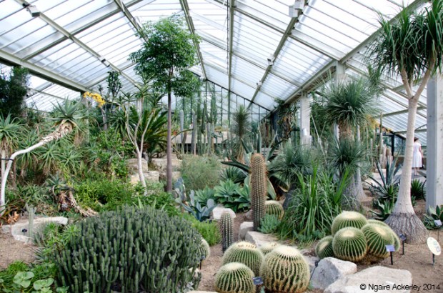 Princess of Wales Conservatory, Kew Gardens