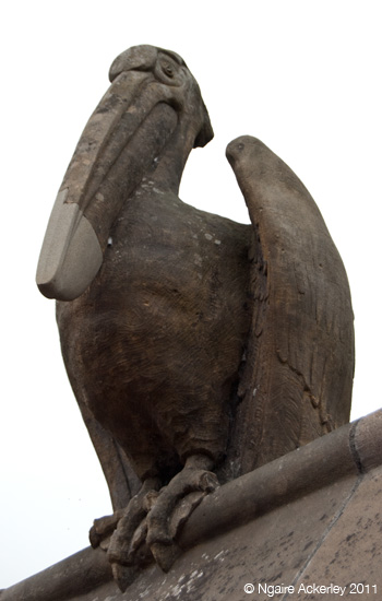 Animal Wall, Bute Park, Cardiff, Wales