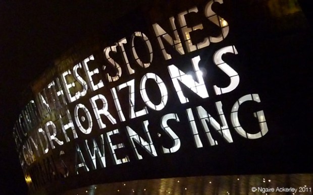 Millenium Centre (night), Cardiff, Wales