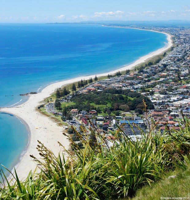 View of the beach and city from the top of Mt. Maunganui