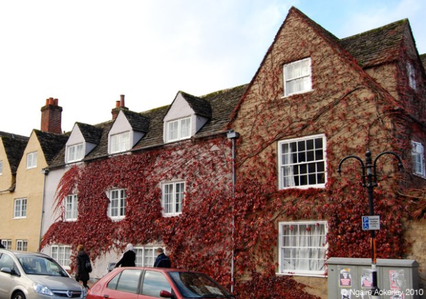 Oxford House covered in plants