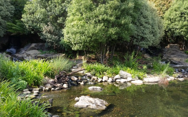 Shot on the S5: Otter Area