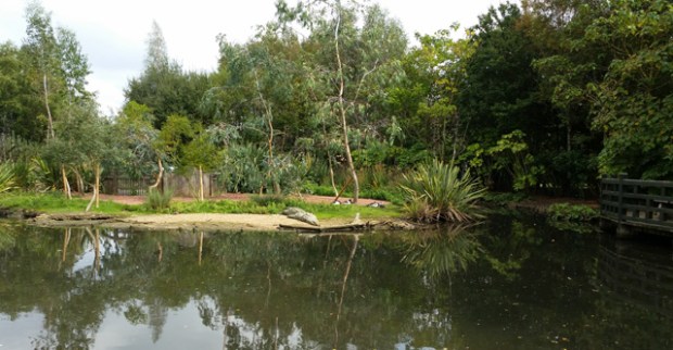 Shot on the S5: One of the ponds at the Wetland Centre