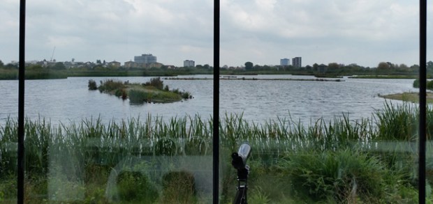 Shot on the S5: The view of the London Wetlands Centre