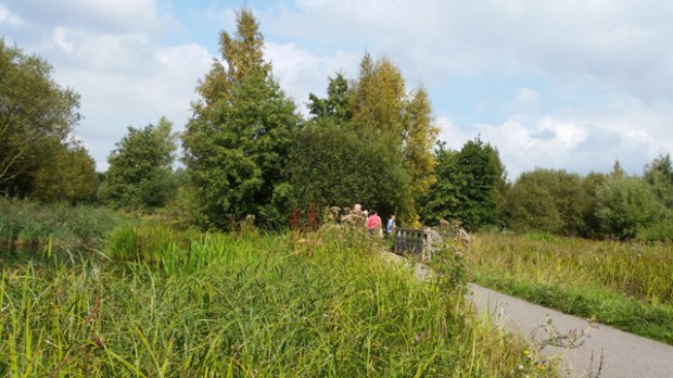 Shot on the S5: Wildside