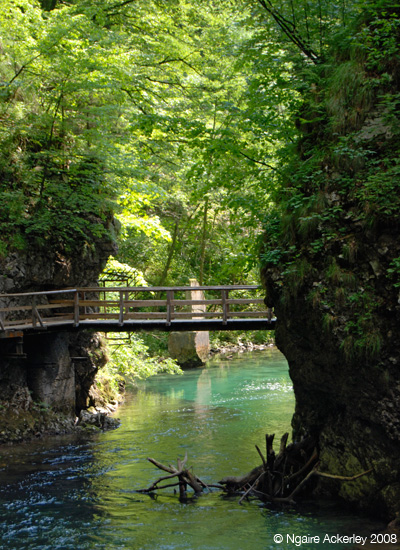 Vintgar bridges, Slovenia
