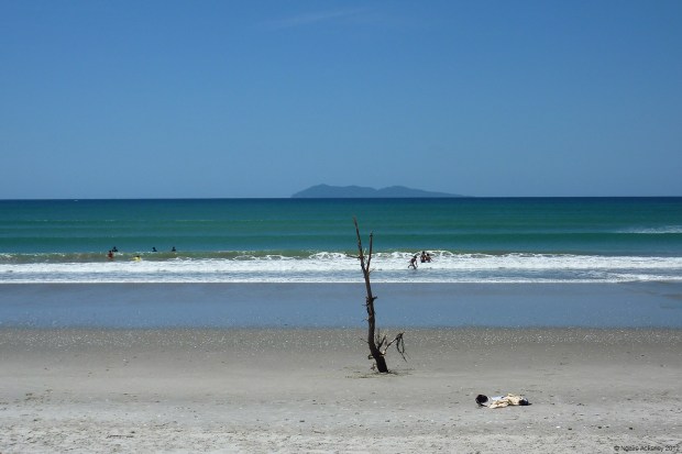Waihi Beach, near where I grew up