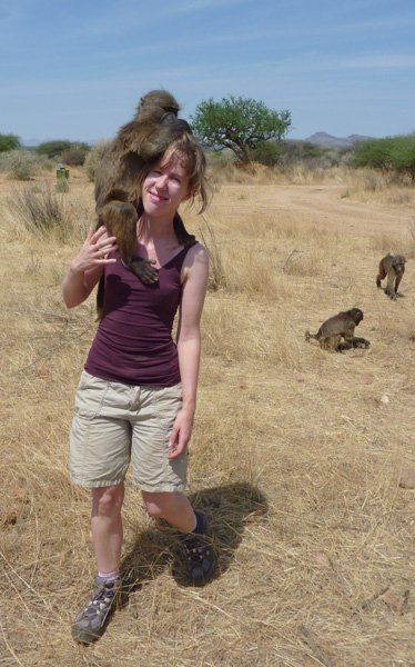 baby-baboon-groom-walk