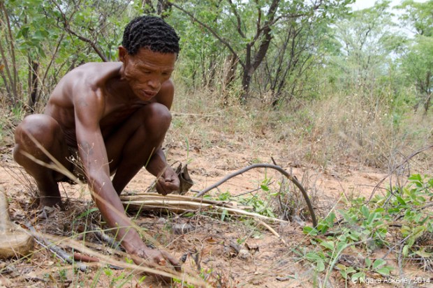 Creating a trap for hunting