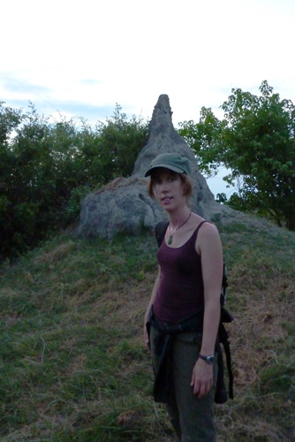 size of termite mounts in Africa