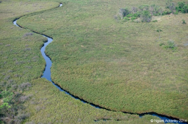  Okavango Delta lagoon