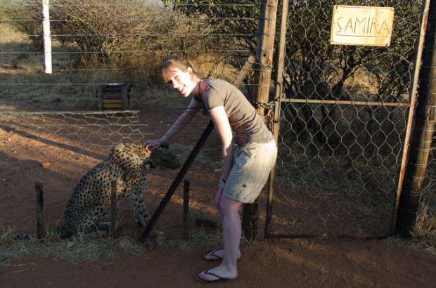 Samira, cheetah