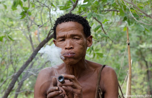 Smoking rabbit poo and bark