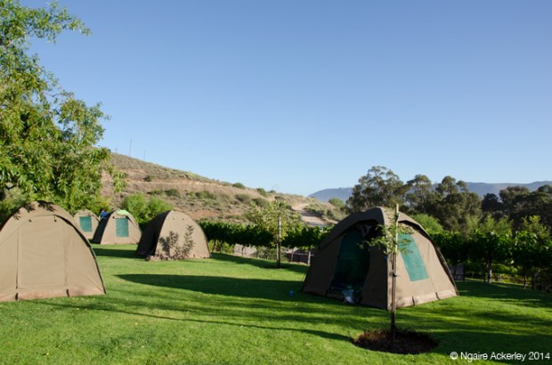 Campsite at Highlanders