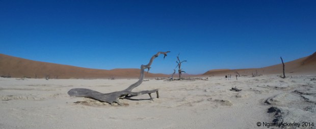 Dead Vlei, Namibia