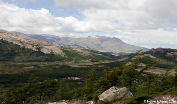 View from the Fitz Roy Walk