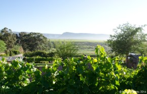 Highlanders - view from the campsite