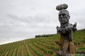 View from Tokara Winery