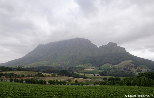 View from Delaire Graff Estate (yes that's the Graff Diamonds guy)