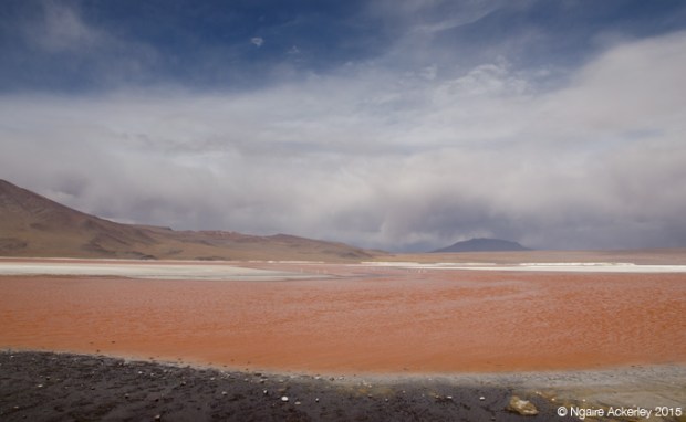 Laguna on the Salar de Uyuni tour