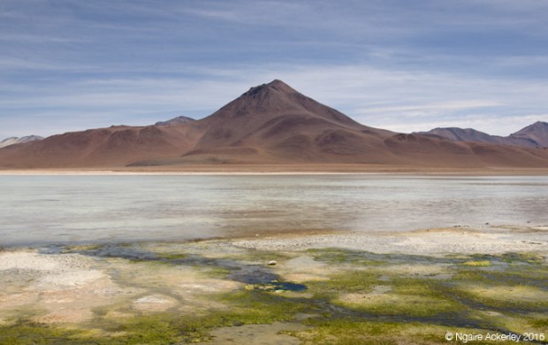 Laguna on the Salar de Uyuni tour