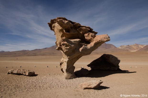 Siloli Desert, rocks formed as a result of wind erosion