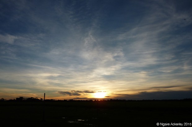 Sunset over the Pampas, Bolivia