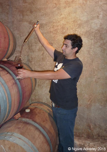 Winery Owner extracting wine