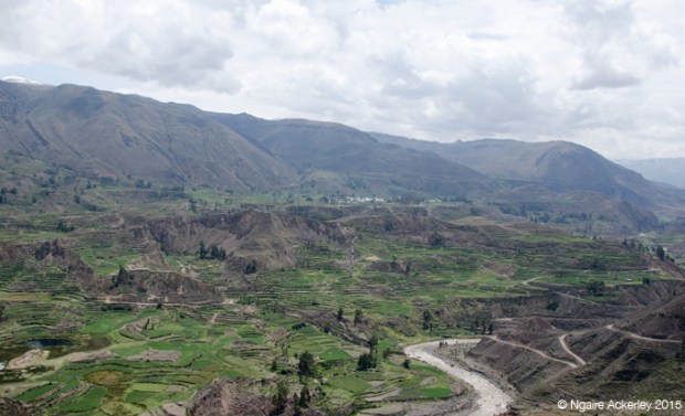 Colca Canyon