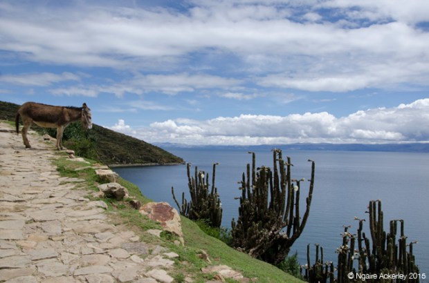 Isla del Sol, North
