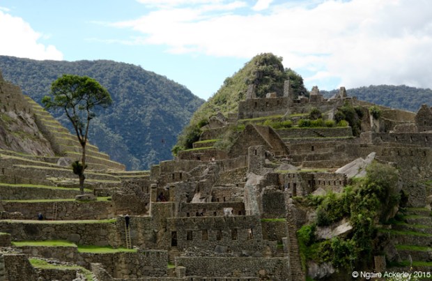 Ruins of Machu Picchu